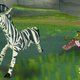 Illustration for article titled Accidentally, A Preview Of SimAnimals Africa